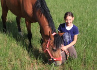 Centre équestre et pension pour chevaux et poneys